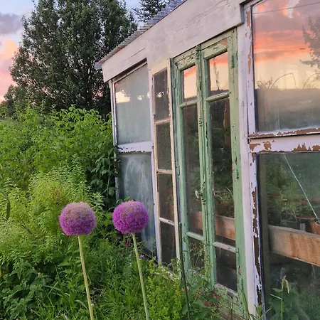 Homestay Maison Berthranet